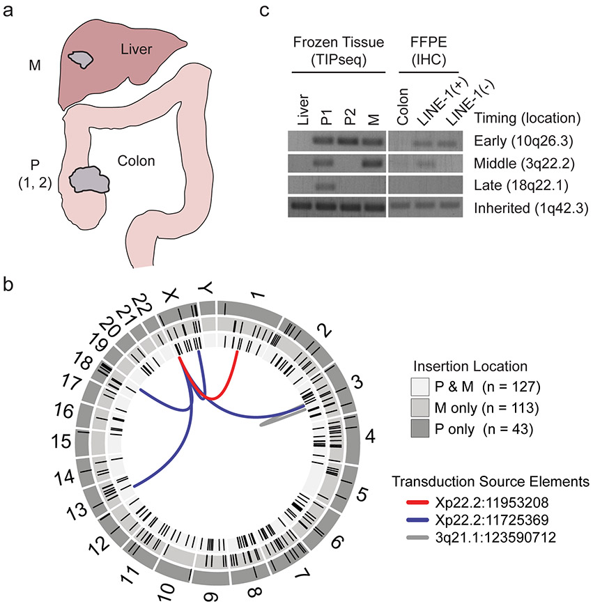 Extended Data Fig. 1