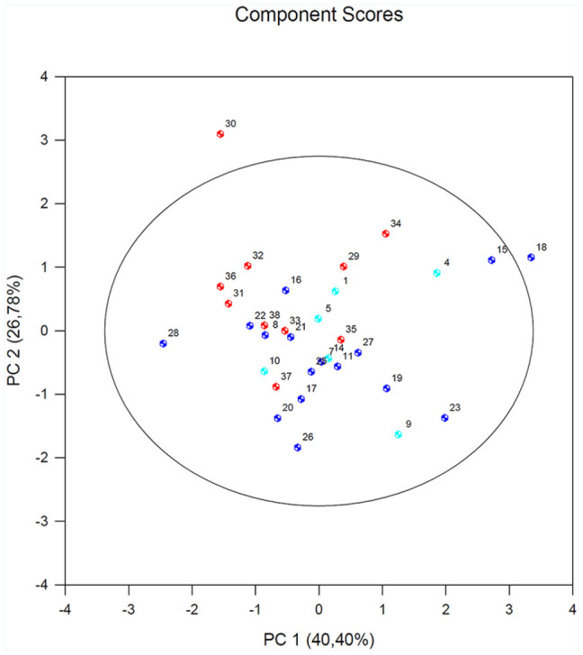 Figure 4.