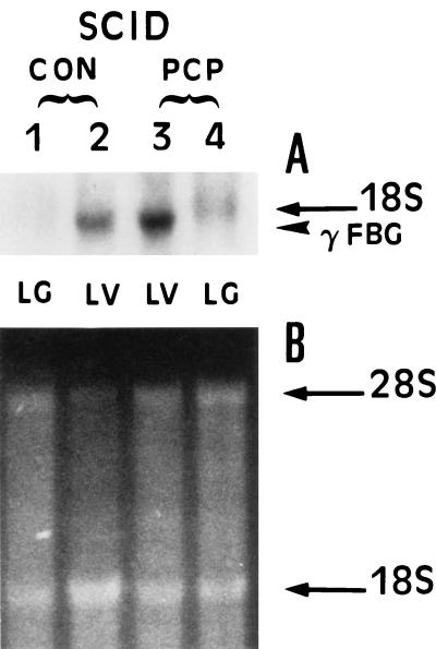 FIG. 7