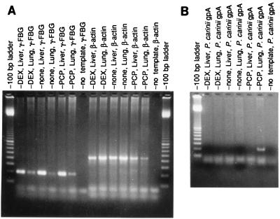 FIG. 8