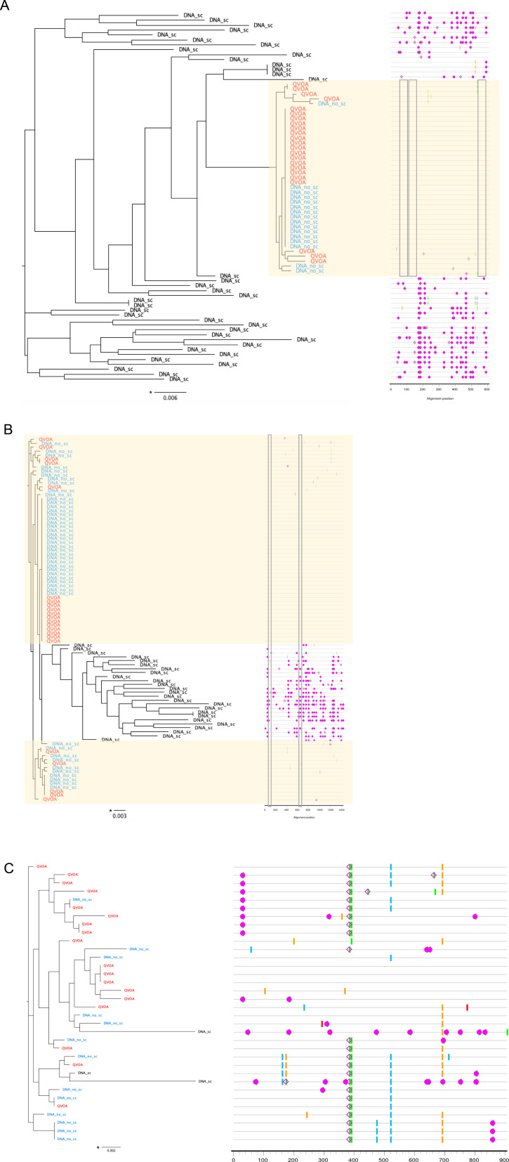 Figure 4—figure supplement 2.