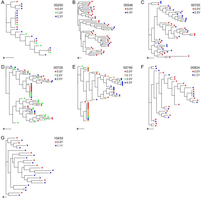 Figure 3—figure supplement 1.