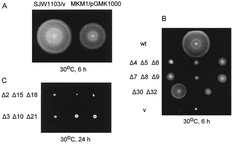 FIG. 1