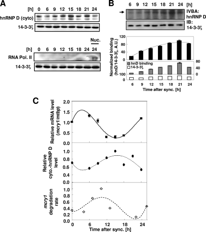 FIG. 4.