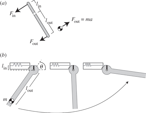 Figure 1.