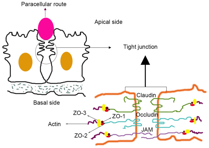 Figure 1.