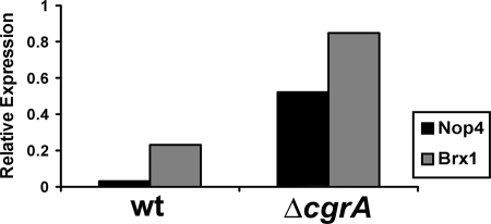 FIG. 5.