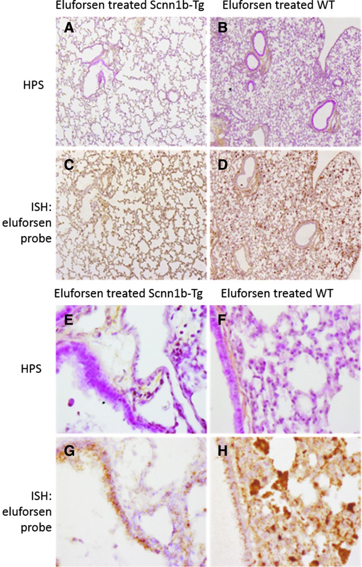 FIG. 8.