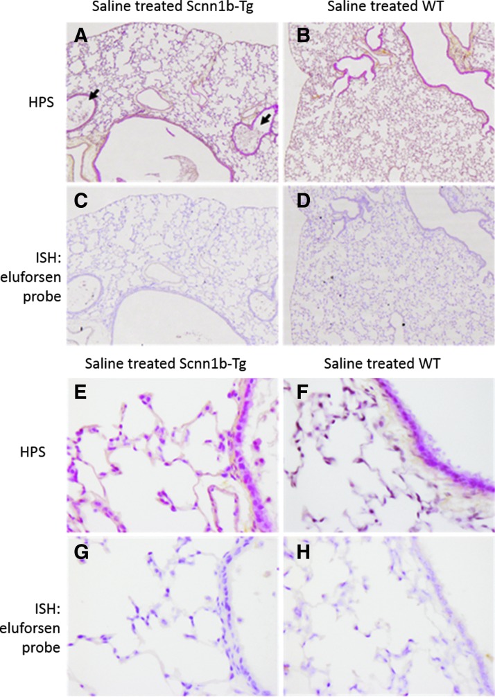 FIG. 7.