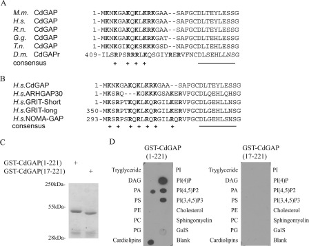 FIGURE 1.