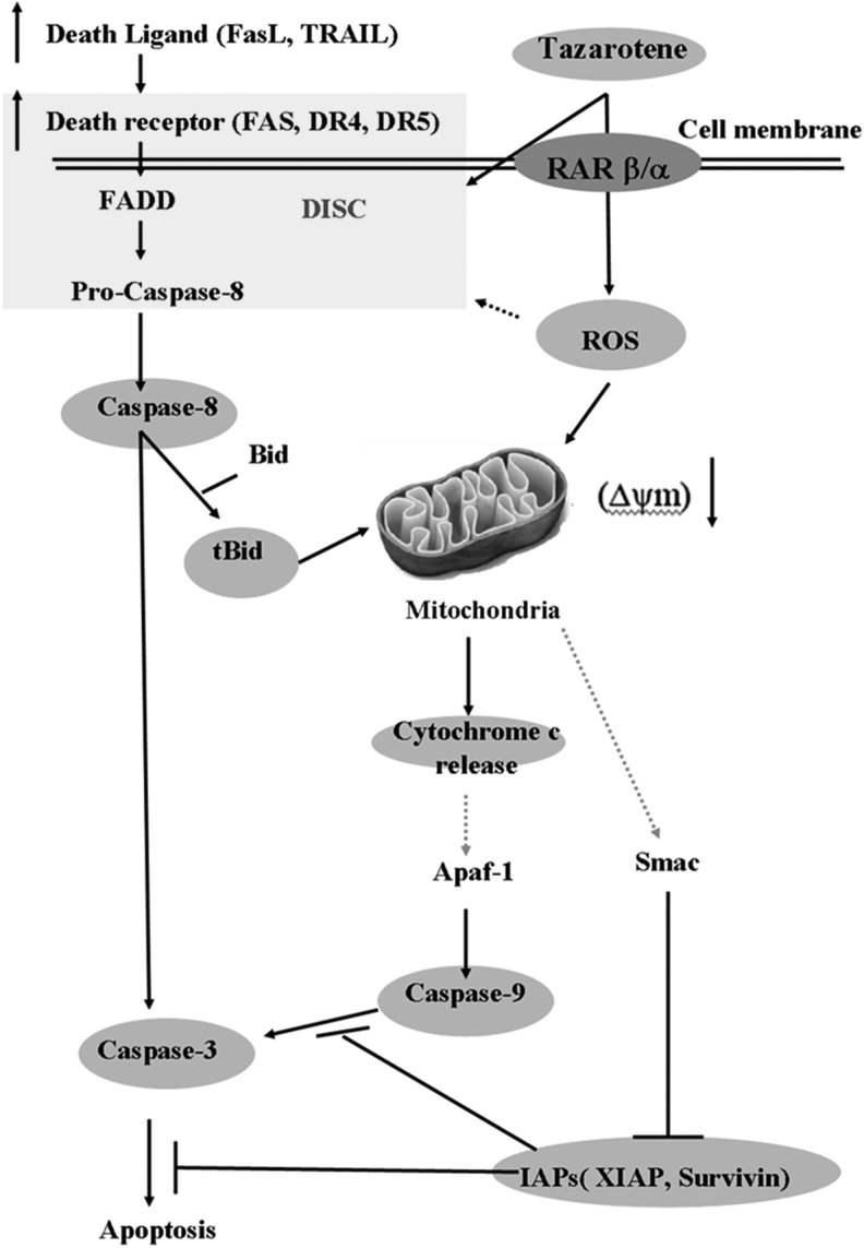 FIG. 6.