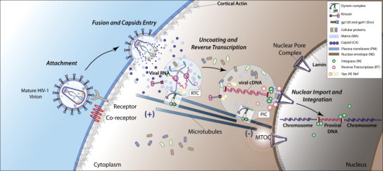 Figure 22.1