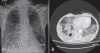 Figure 1)