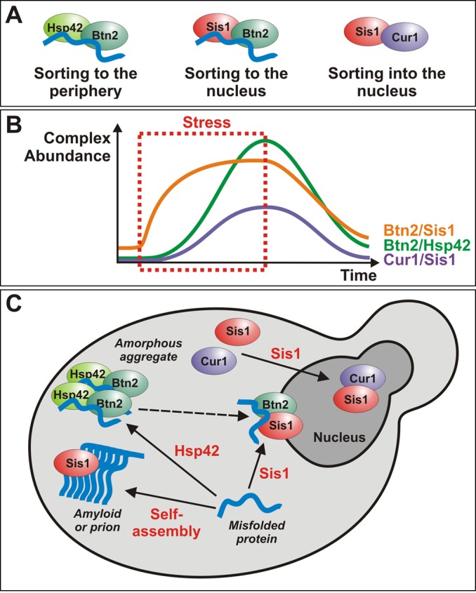 FIGURE 11: