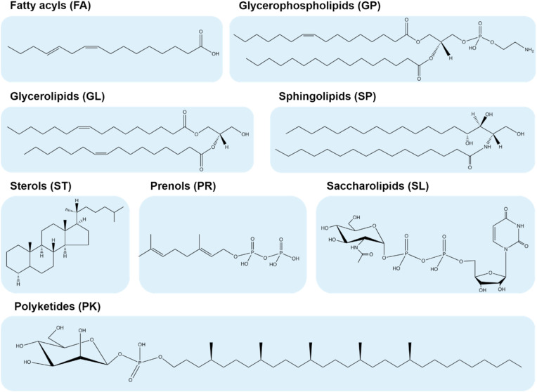 Fig. 1