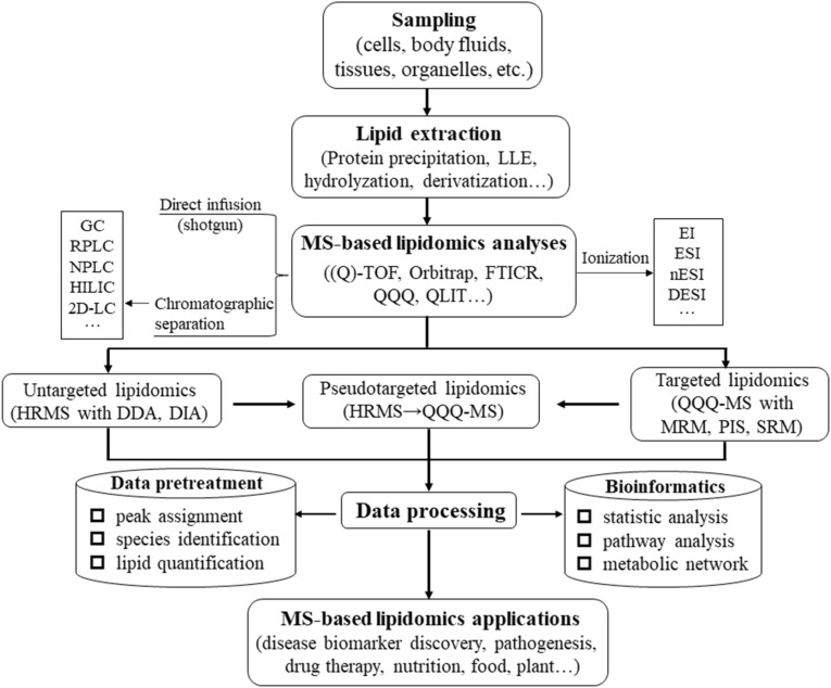 Fig. 4