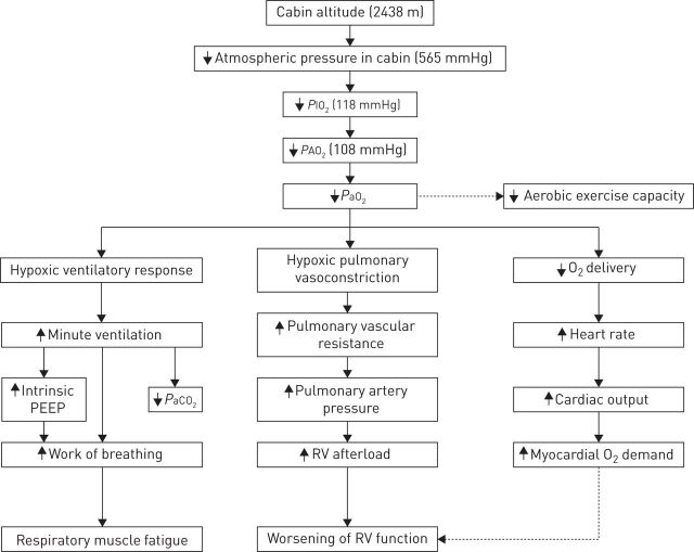 FIGURE 3