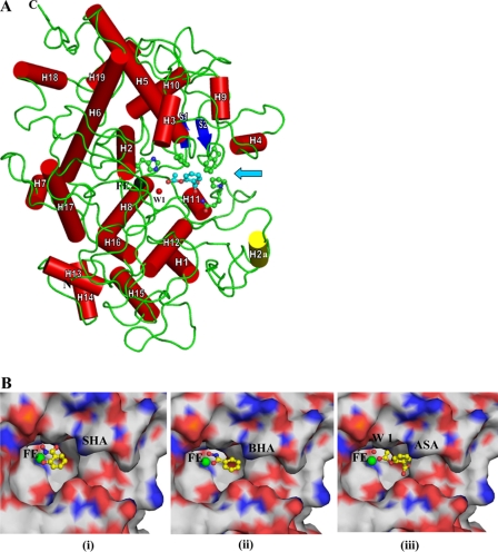 FIGURE 3.