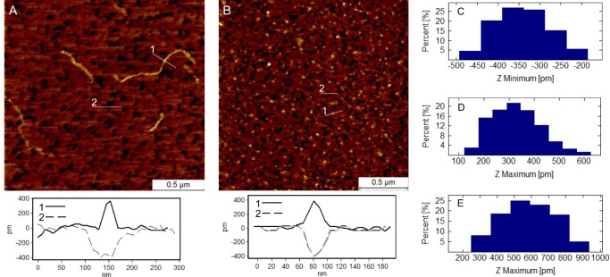 FIGURE 6.