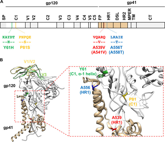 FIG 1