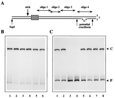 FIG. 5