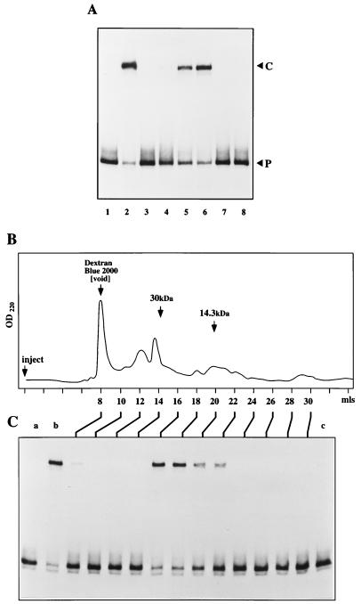 FIG. 6