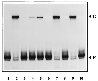 FIG. 7