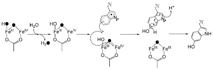 Scheme 2