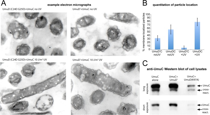 Fig 7