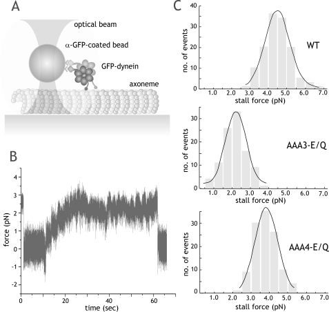 FIGURE 4.