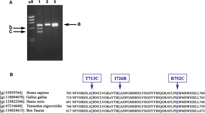 Figure 5