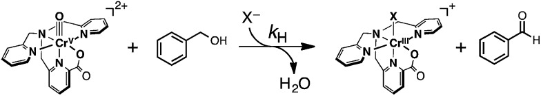 Scheme 5