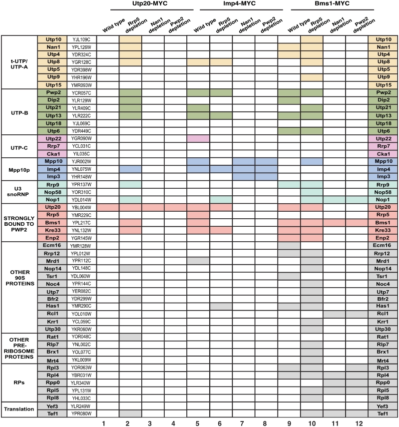 Figure 4.