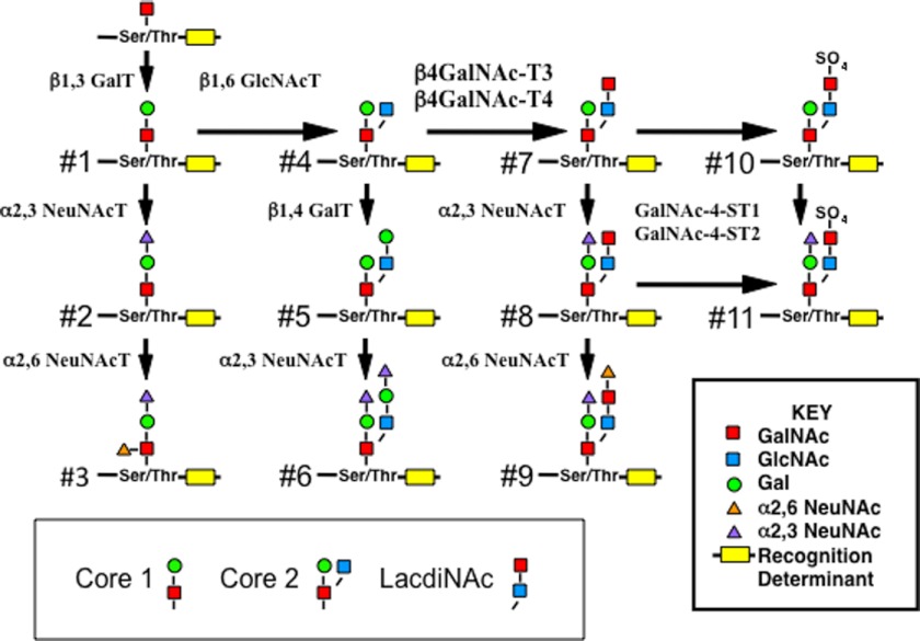 FIGURE 1.