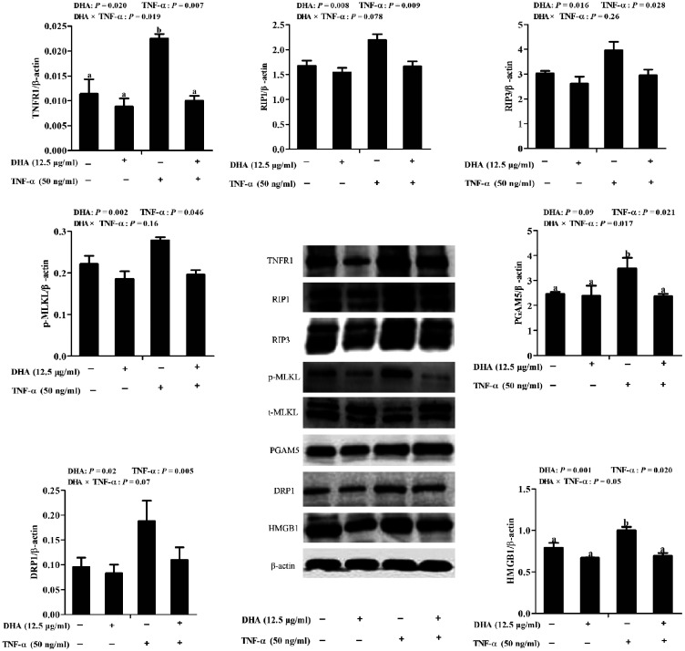 Figure 6.