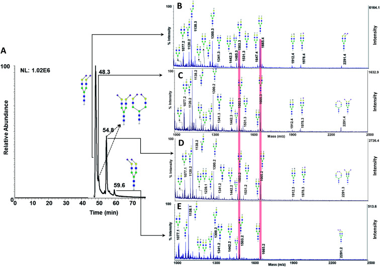 Fig. 9