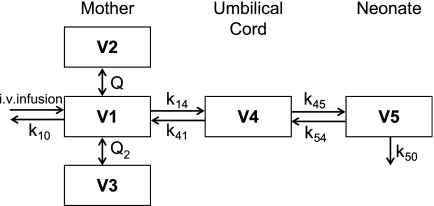 FIG. 2.