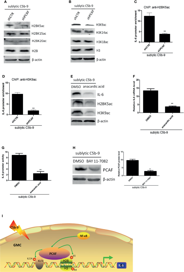 Figure 6