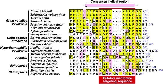 Fig 2.