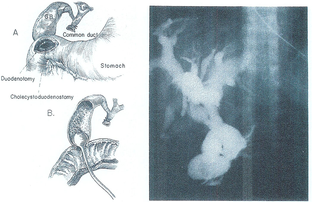 Fig. 15