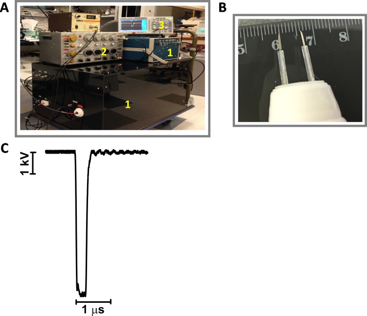 Figure 1.