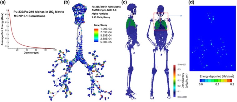 Figure 14