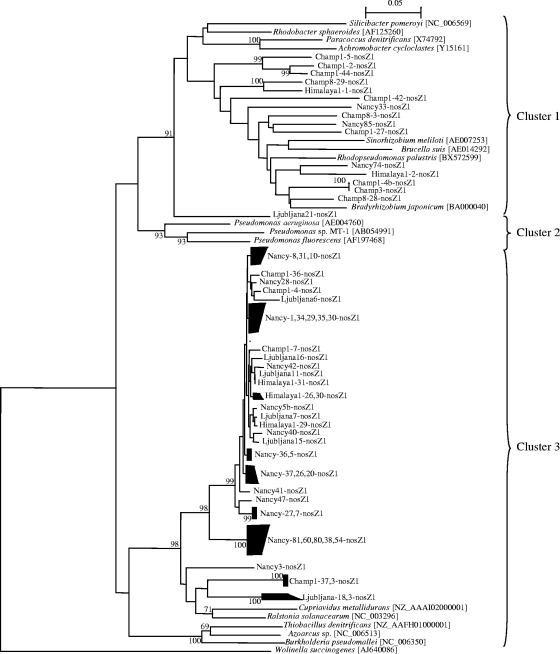 FIG. 5.