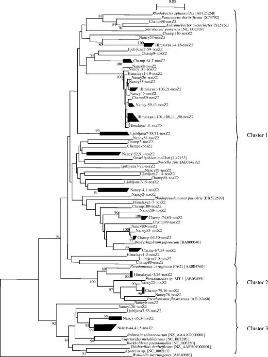 FIG. 6.