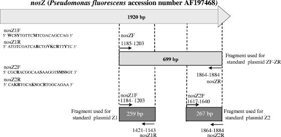 FIG. 1.