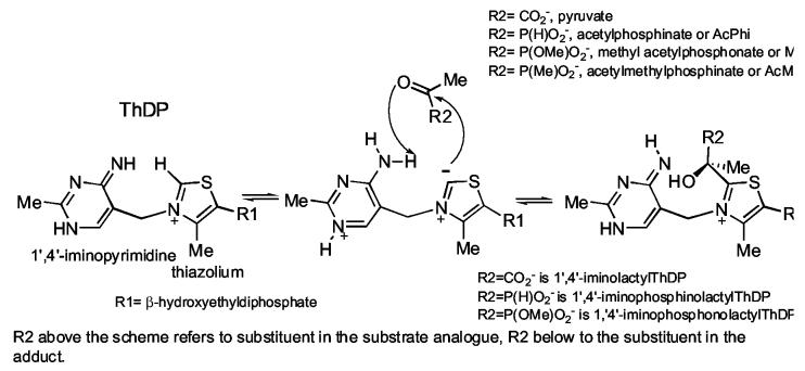 Scheme 2