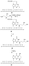 Scheme 4