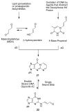 Scheme 3