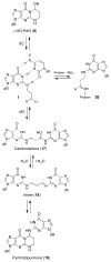 Scheme 2