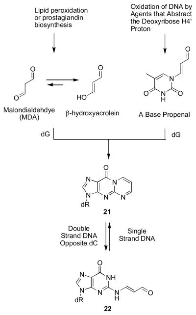 Scheme 3